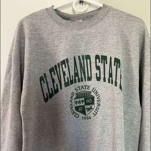 Champion Cleveland state hoodie.